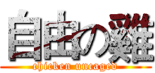自由の雞 (chicken uncaged)