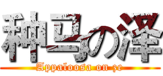 种马の泽 (Appaloosa on ze)