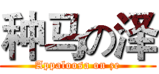 种马の泽 (Appaloosa on ze)