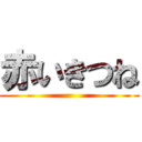 赤いきつね ()