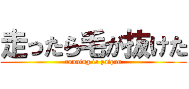 走ったら毛が抜けた (running is paipan)