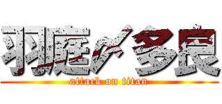 羽庭〆多良 (attack on titan)