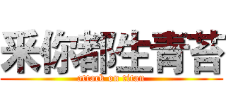 釆你都生青苔 (attack on titan)