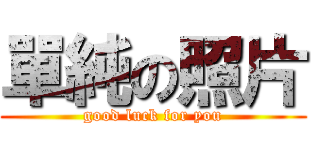 單純の照片 (good luck for you)