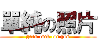 單純の照片 (good luck for you)