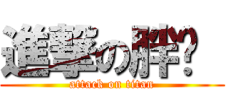 進撃の胖婷  (attack on titan)