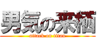 男気の来栖 (attack on titan)