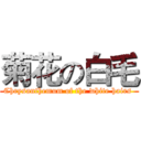 菊花の白毛 (Chrysanthemum of the white hairs )