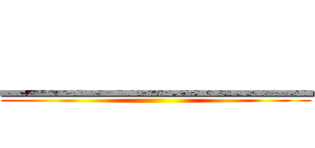 ＿＿＿＿＿＿＿＿ ()