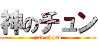 神のチュン (god of pad)
