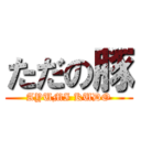 ただの豚 (AYUMI KUDO)