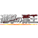 進撃の葉王 (attack on Sindibaad)