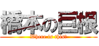 橋本の巨根 (Where is this？)