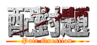 配對題 (Pair Question)