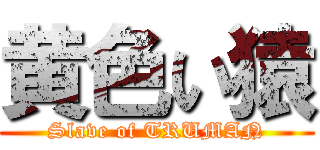 黄色い猿 (Slave of TRUMAN)