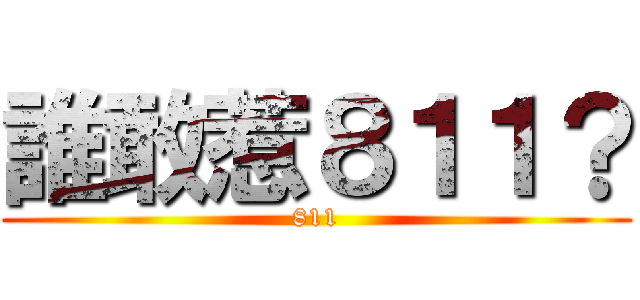 誰敢惹８１１？ (811)