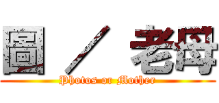 圖 ／ 老母 (Photos or Mother)