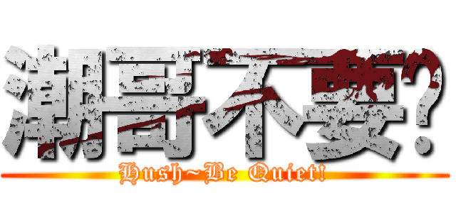潮哥不要啦 (Hush~Be Quiet!)