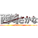 西崎さかな (Sakana)