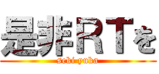 是非ＲＴを (seki yuka)