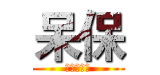 呆保 (欢迎订阅我)