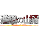 進擊の山豬 (attack on titan)