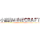 小家的ＭＩＮＥＣＲＡＦＴ (Craft on Craft)
