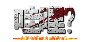 哇哩咧 (attack on titan)