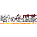 哈囉の冬瓜茶 (attack on titan)