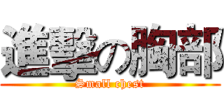 進擊の胸部 (Small chest)