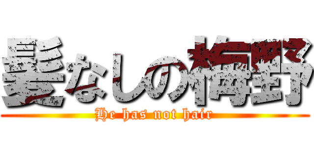 髪なしの梅野 (He has not hair)