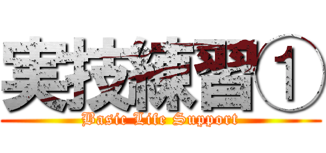 実技練習① (Basic Life Support)