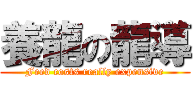 養龍の龍導 (Feed costs really expensive)