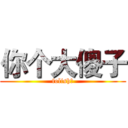 你个大傻子 (folish！)