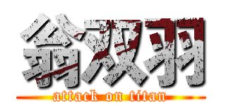翁双羽 (attack on titan)