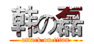 韩の磊 (attack on titan)