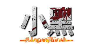 小黑 (SlayerBlack)