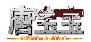 唐宝宝 (attack on titan)