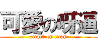 可愛の呀逼 (attack on titan)