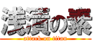 浅漬の素 (attack on titan)