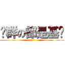 这群の都是基佬 (除 了 我)