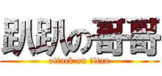 趴趴の哥哥 (attack on titan)