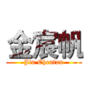 金宸帆 (Jin Chenfan)