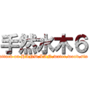 手然水木６ (attack on HAND,LAN,water,wood,six)