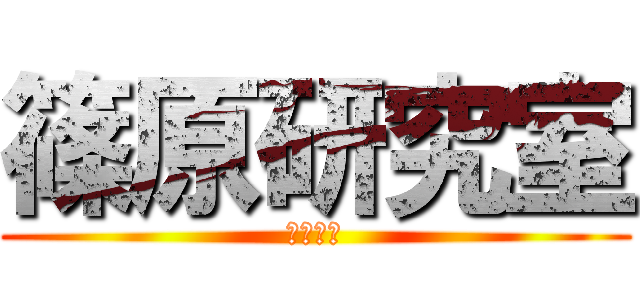 篠原研究室 (しのけん)
