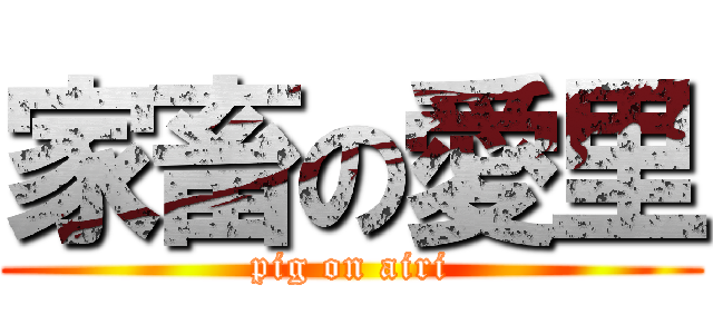 家畜の愛里 (pig on airi)