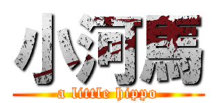 小河馬 (a little hippo)