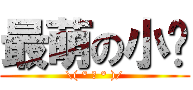 最萌の小貓 (\\( ° 益 ° )/)