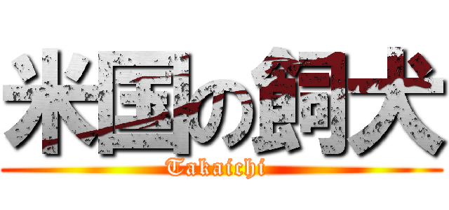 米国の飼犬 (Takaichi )