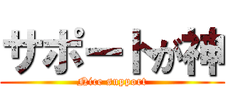 サポートが神 (Nice support)
